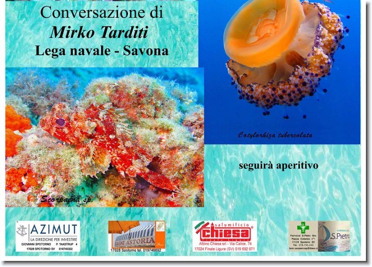 Foto successiva