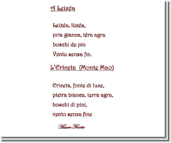 Foto successiva