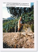 vendemmia-4--zunino-giov-1972 * 2426 x 3508 * (2.87MB)