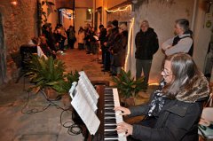 Lanternata-28.12.2025-  (8) * 4928 x 3264 * (2.53MB)