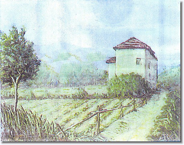 Foto successiva