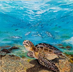 tartaruga fondo marino * 2048 x 2014 * (858KB)